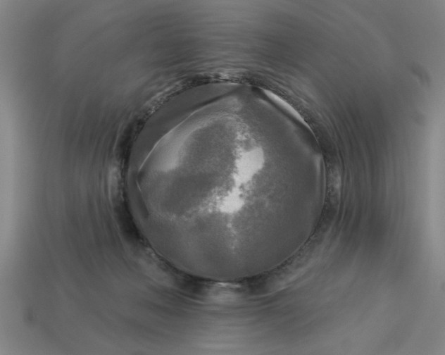 X0000113300222200910051049