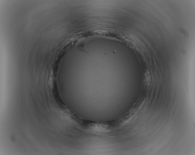 X0000113300223200910051049