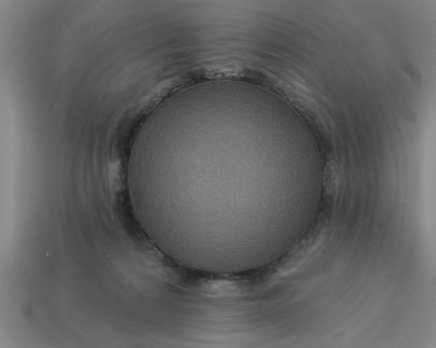 X0000113300224200910051049
