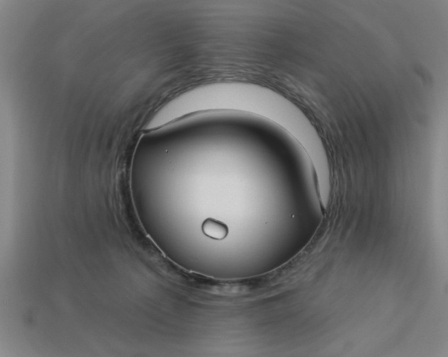 X0000113300225200910051049
