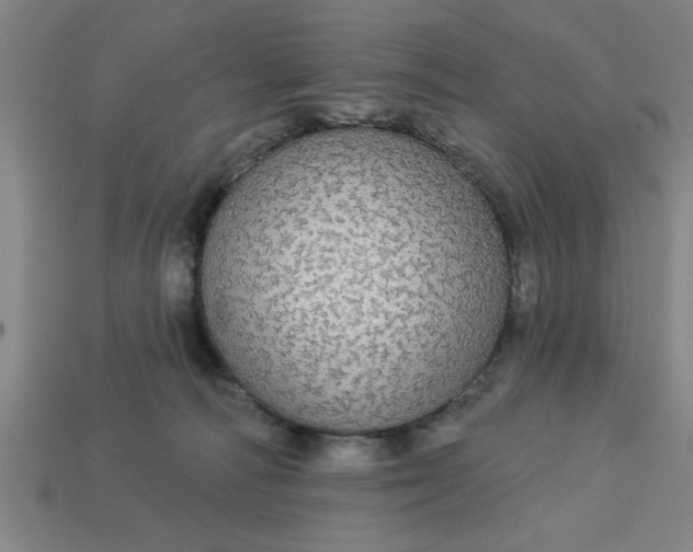 X0000113300226200910051049