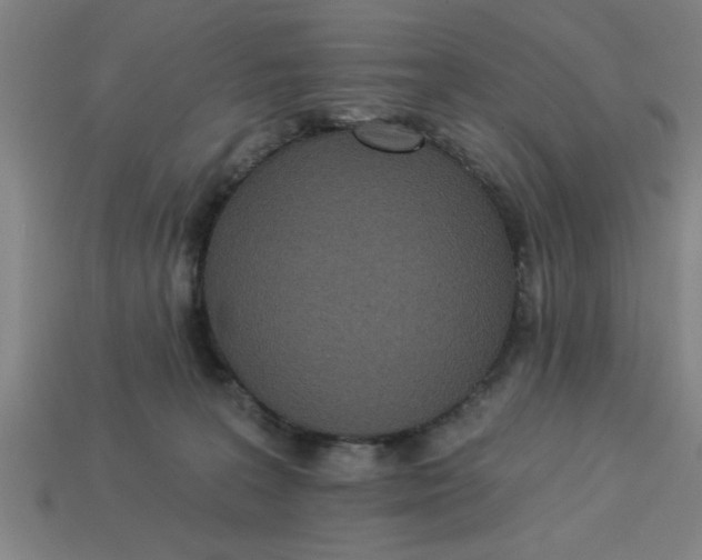 X0000113300227200910051049