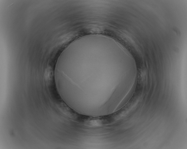 X0000113300228200910051049