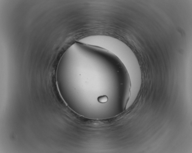X0000113300229200910051049