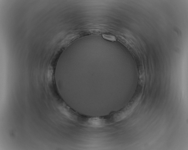X0000113300231200910051049