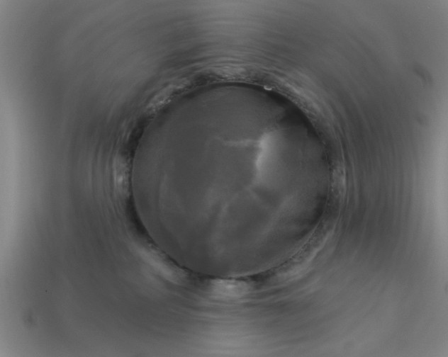 X0000113300234200910051048