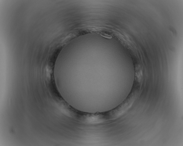 X0000113300235200910051048