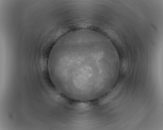 X0000113300236200910051048
