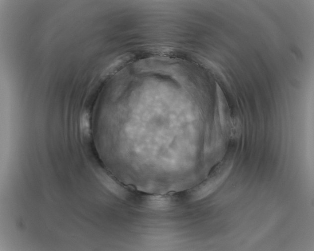 X0000113300238200910051048