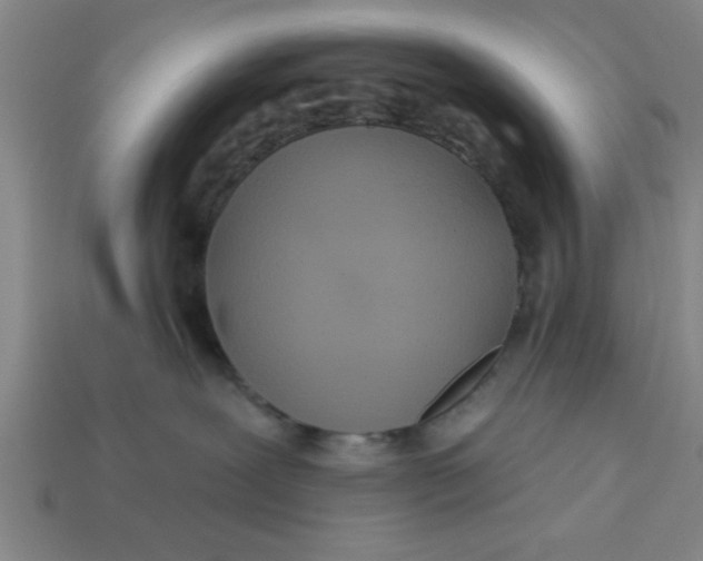 X0000113300239200910051048
