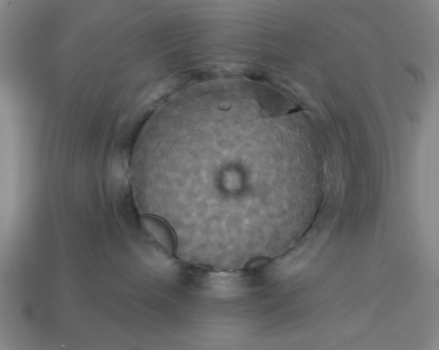 X0000113300240200910051048