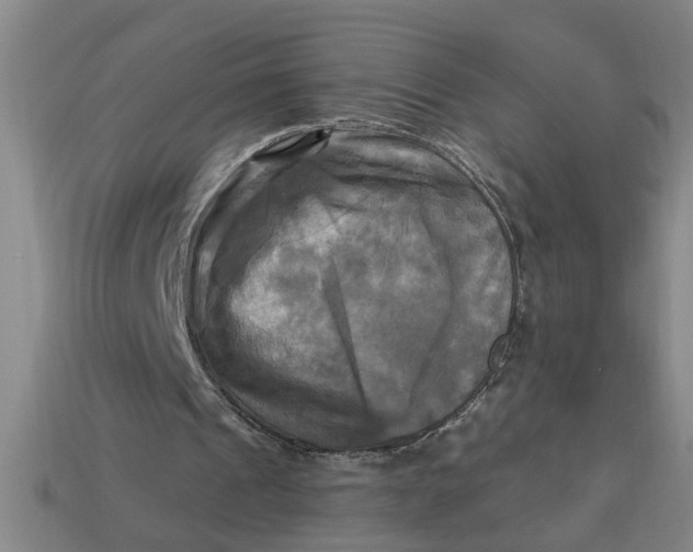 X0000113300241200910051048
