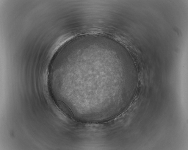 X0000113300242200910051048