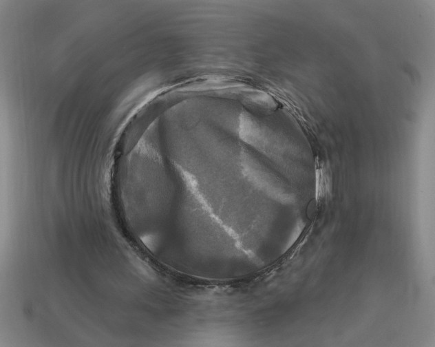 X0000113300243200910051048