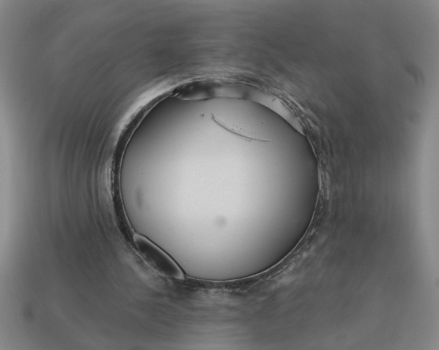 X0000113300244200910051048