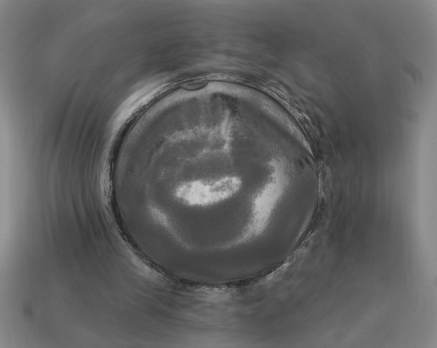X0000113300245200910051048