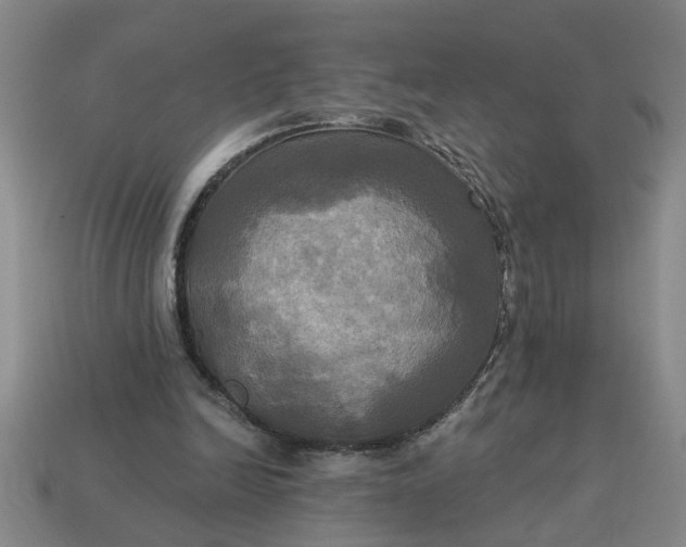 X0000113300246200910051048