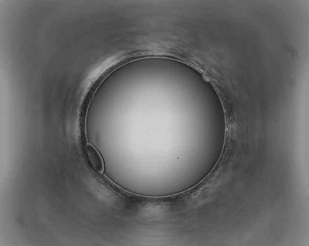 X0000113300248200910051048