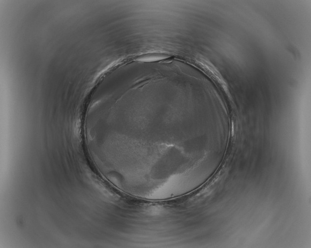 X0000113300249200910051048
