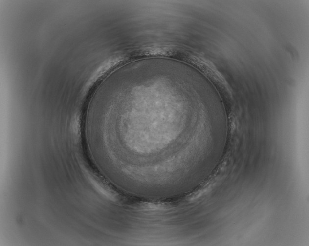 X0000113300250200910051048