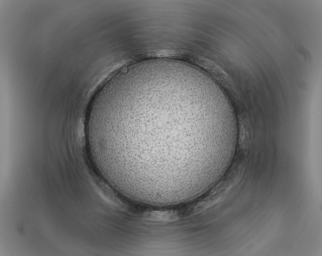 X0000113300251200910051048