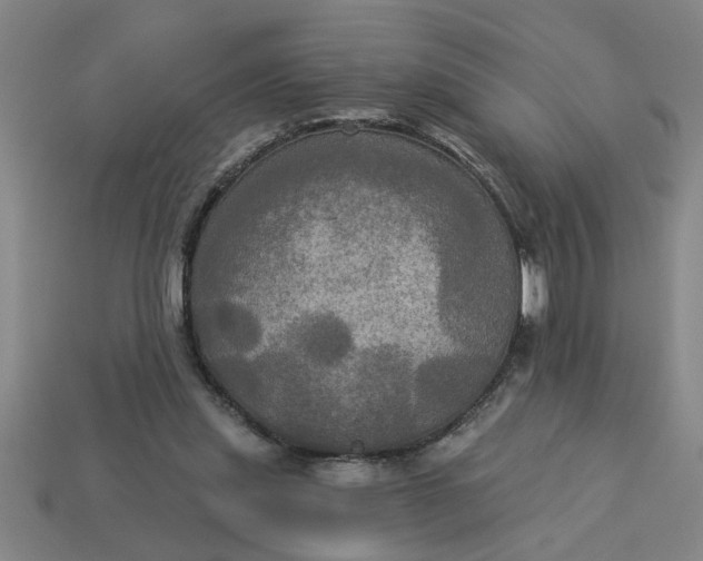X0000113300253200910051048