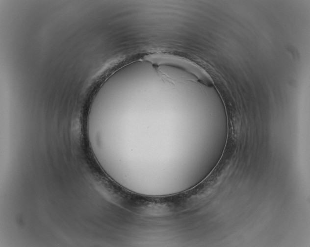 X0000113300256200910051048