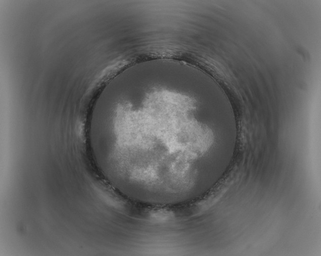 X0000113300258200910051048
