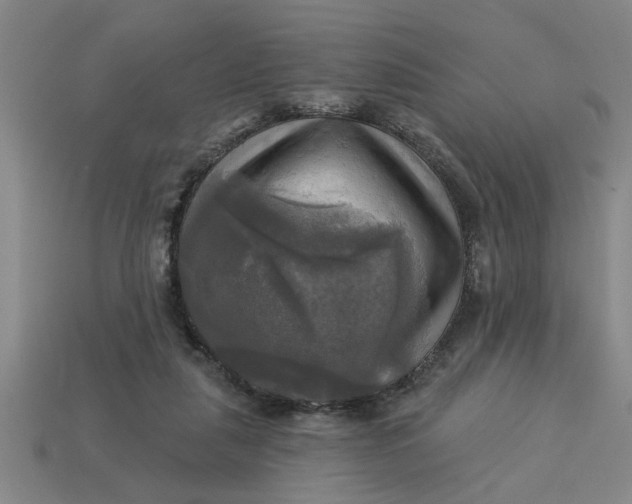 X0000113300259200910051048