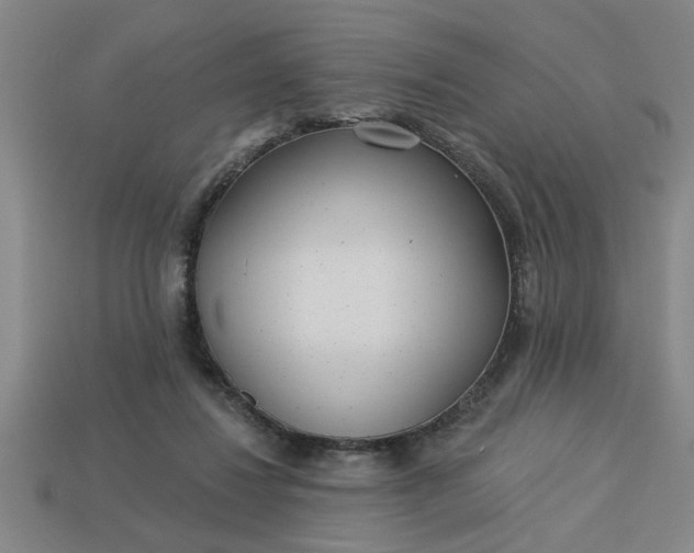 X0000113300260200910051048