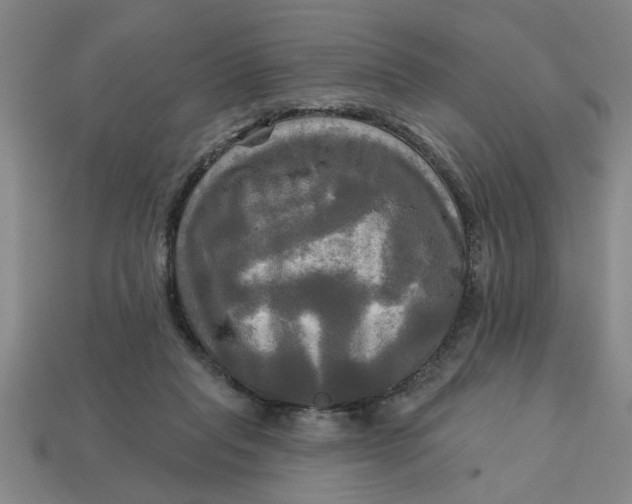X0000113300261200910051048