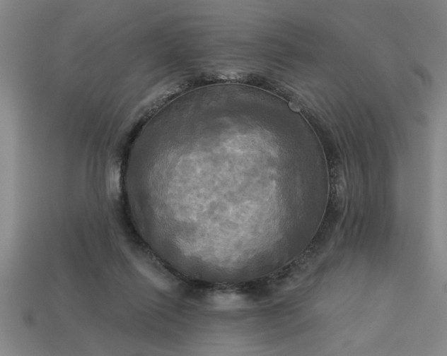 X0000113300262200910051048