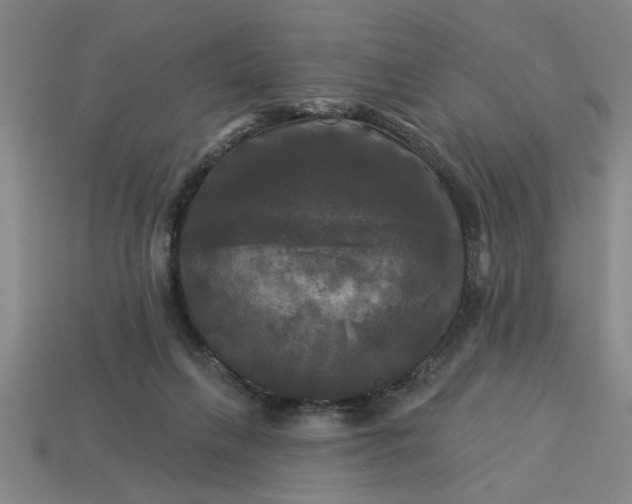 X0000113300263200910051048