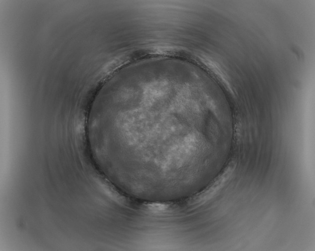 X0000113300265200910051048