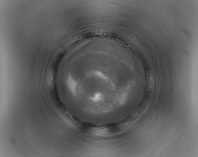 X0000113300266200910051048