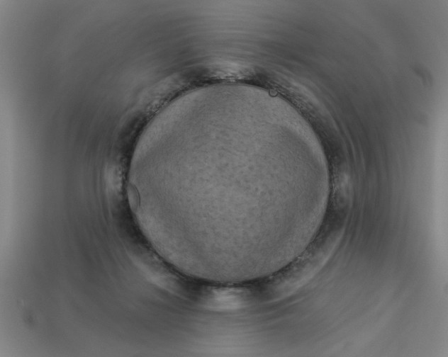 X0000113300268200910051048