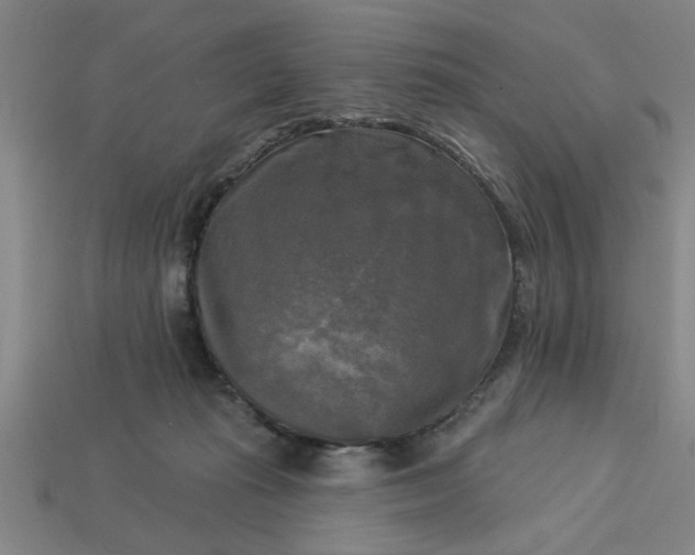 X0000113300269200910051048