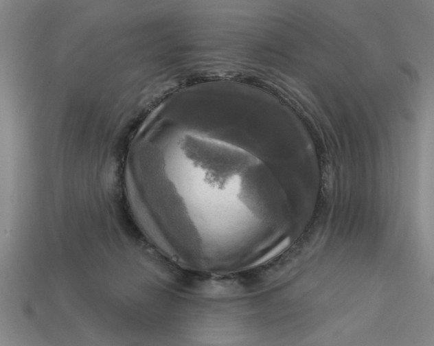X0000113300270200910051048