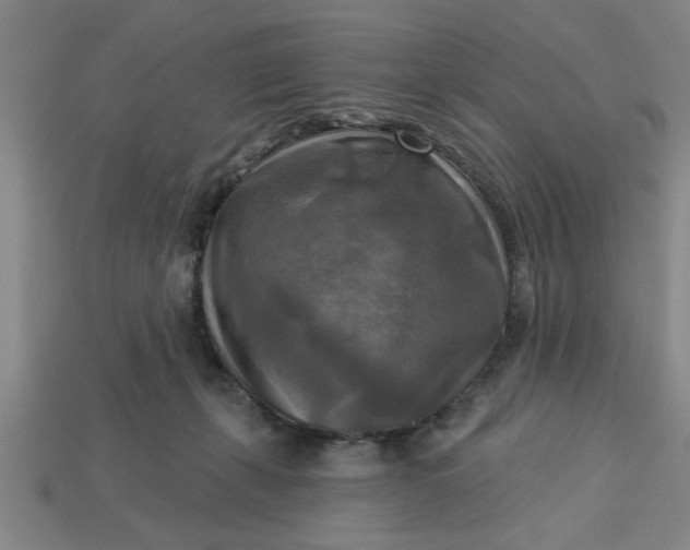 X0000113300271200910051048