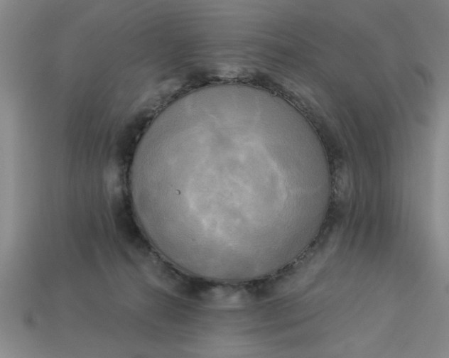 X0000113300272200910051048