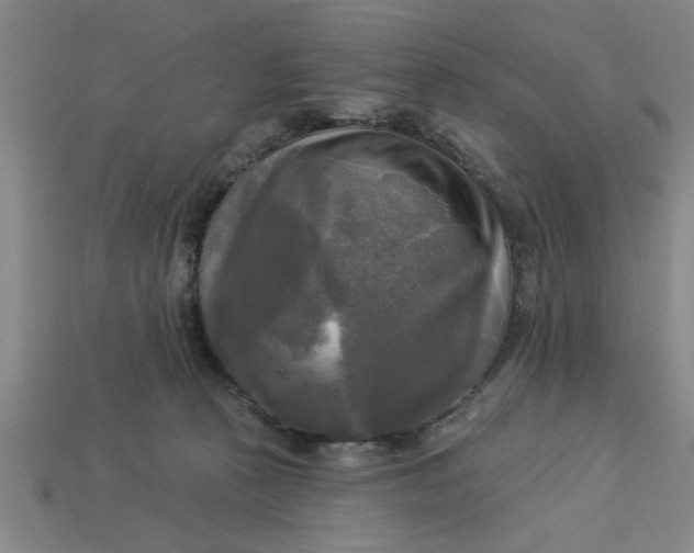 X0000113300273200910051048