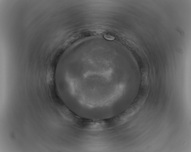 X0000113300274200910051048