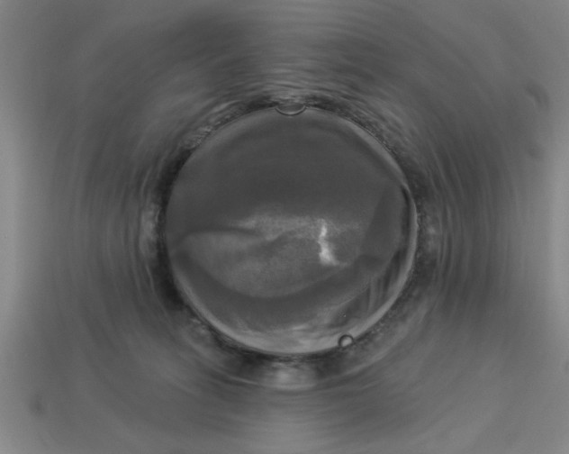 X0000113300275200910051048