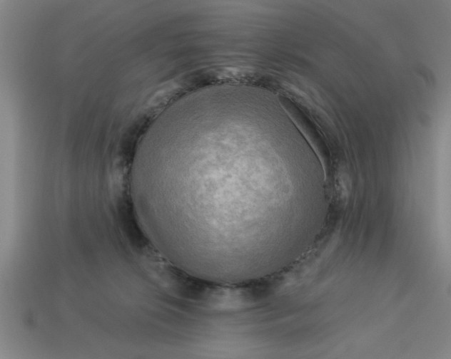 X0000113300276200910051048