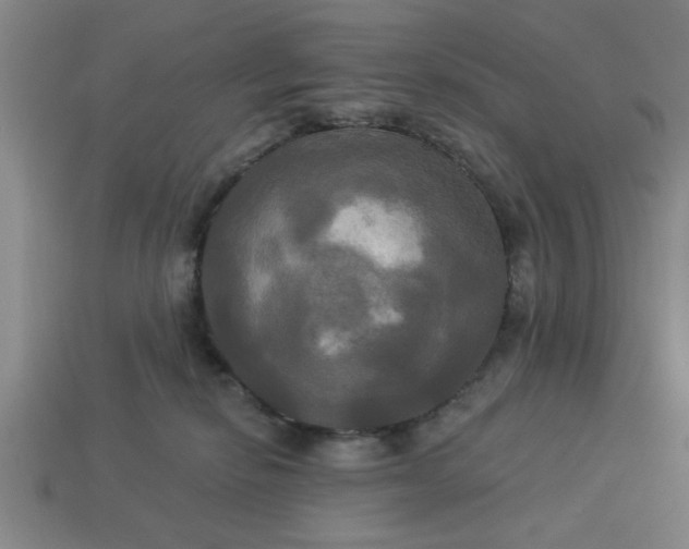 X0000113300278200910051048