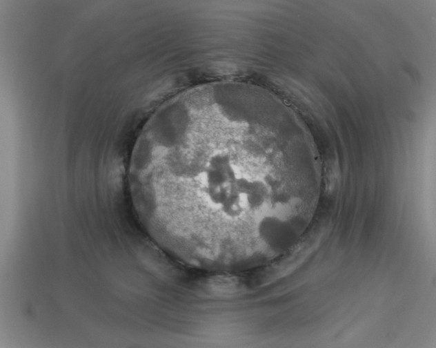 X0000113300279200910051048