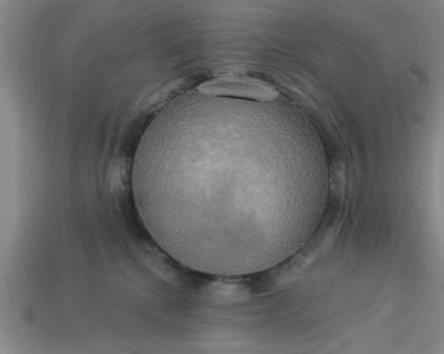 X0000113300280200910051048