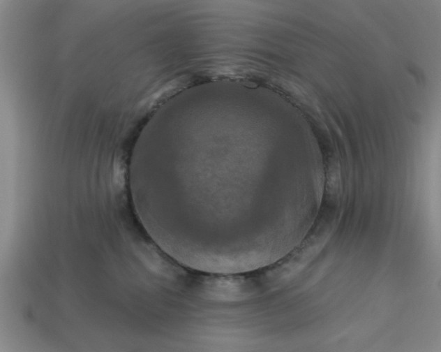 X0000113300282200910051048