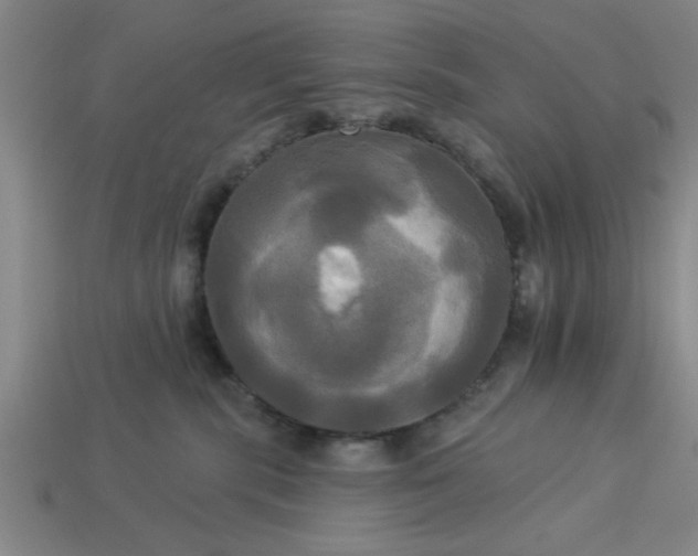 X0000113300283200910051048