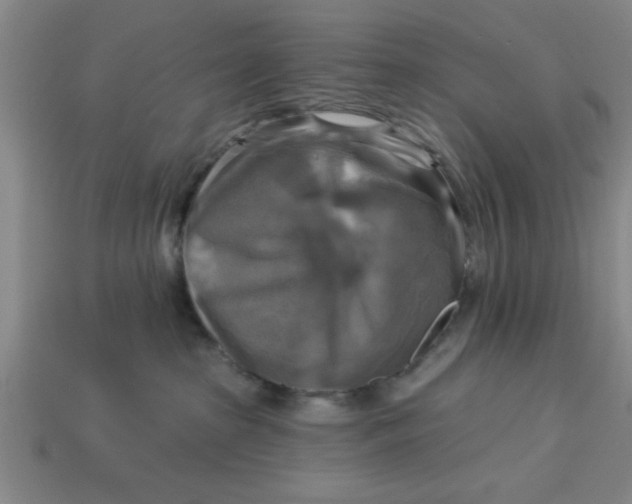 X0000113300285200910051048